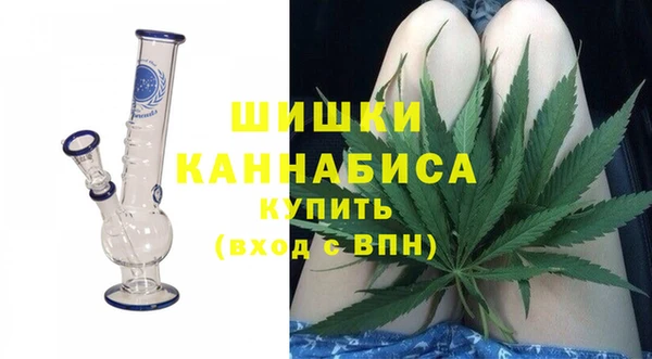 шишки Белокуриха